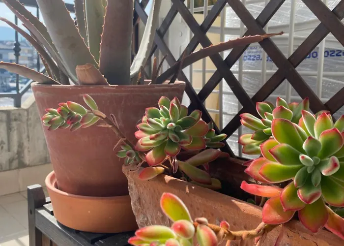 Studio_suite05 Alba Adriatica